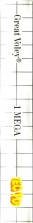 Side / SpinCard